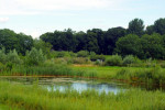 Vechtdijk Berkum